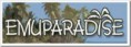 Emuparadise